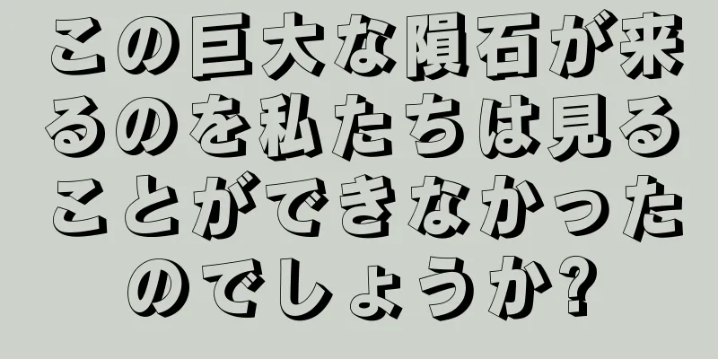 この巨大な隕石が来るのを私たちは見ることができなかったのでしょうか?