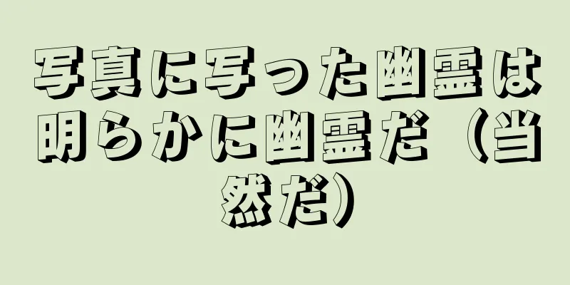 写真に写った幽霊は明らかに幽霊だ（当然だ）