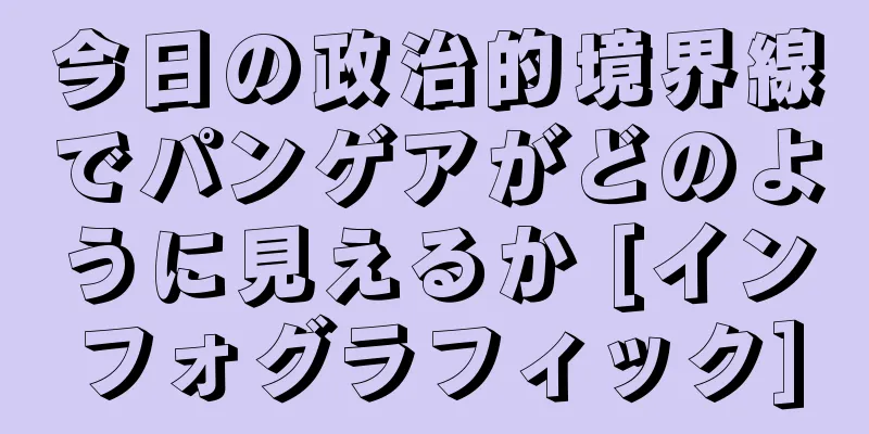 今日の政治的境界線でパンゲアがどのように見えるか [インフォグラフィック]