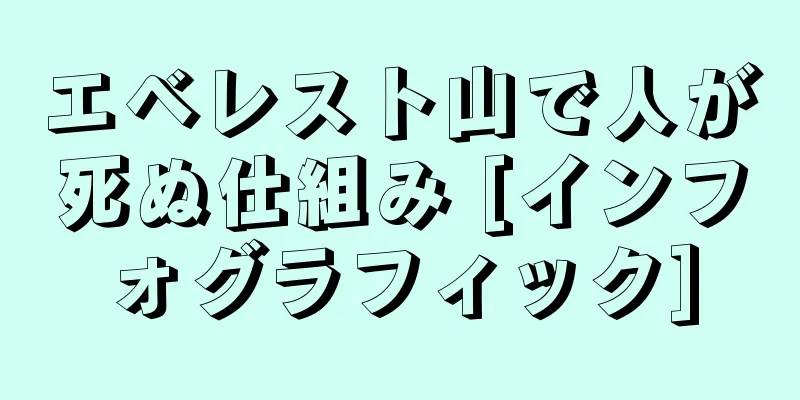 エベレスト山で人が死ぬ仕組み [インフォグラフィック]