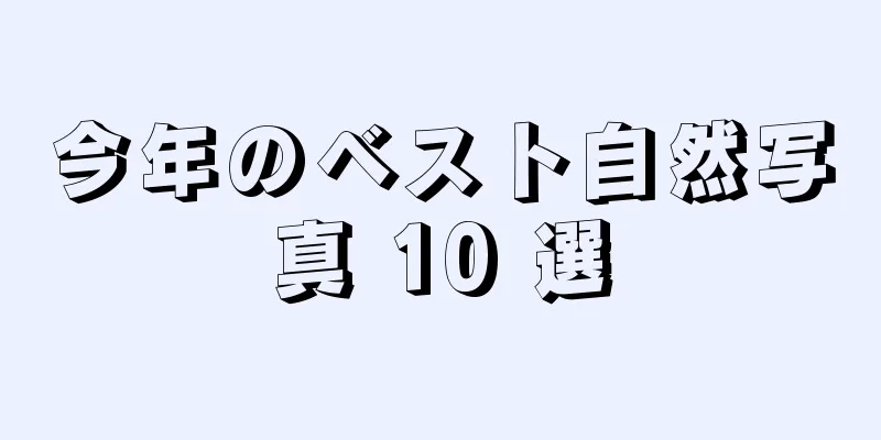 今年のベスト自然写真 10 選