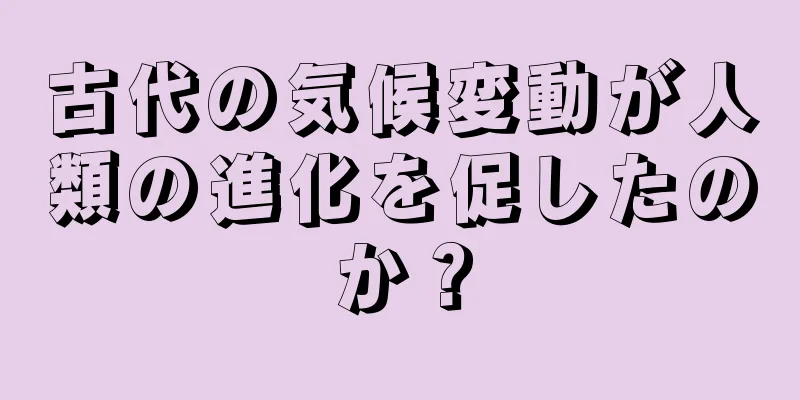 古代の気候変動が人類の進化を促したのか？