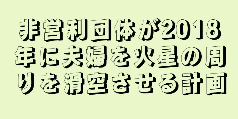 非営利団体が2018年に夫婦を火星の周りを滑空させる計画