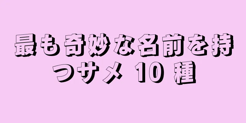 最も奇妙な名前を持つサメ 10 種