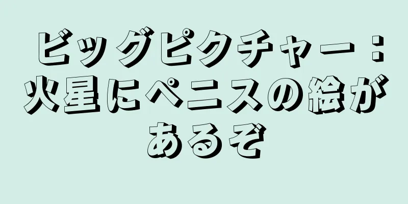 ビッグピクチャー：火星にペニスの絵があるぞ