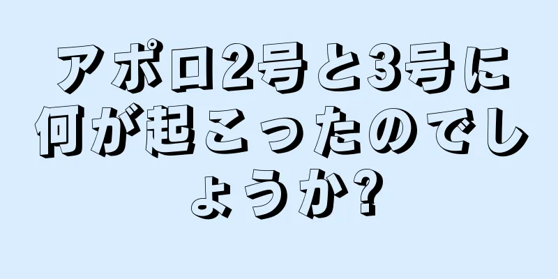 アポロ2号と3号に何が起こったのでしょうか?