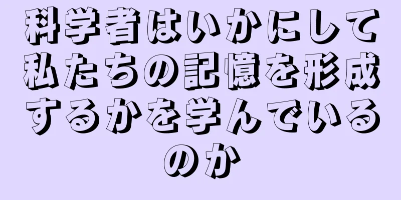 科学者はいかにして私たちの記憶を形成するかを学んでいるのか