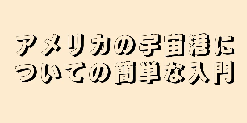 アメリカの宇宙港についての簡単な入門