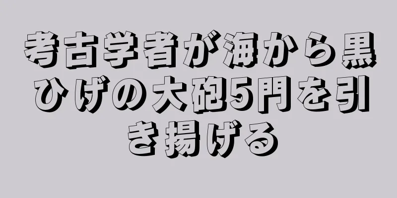 考古学者が海から黒ひげの大砲5門を引き揚げる
