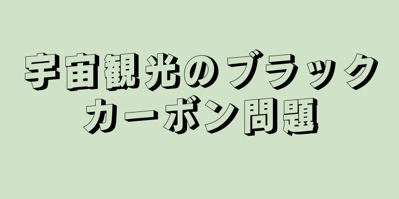 宇宙観光のブラックカーボン問題