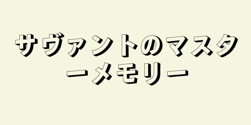 サヴァントのマスターメモリー