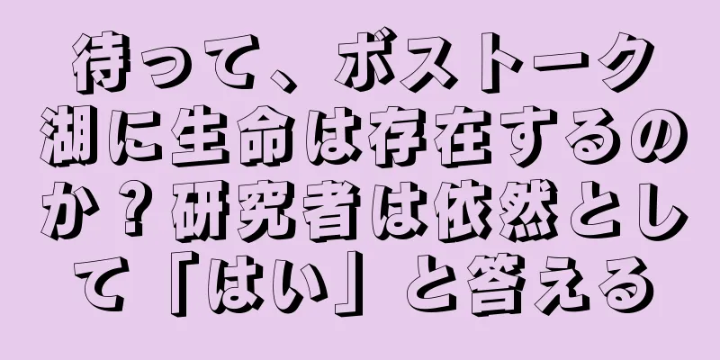 待って、ボストーク湖に生命は存在するのか？研究者は依然として「はい」と答える