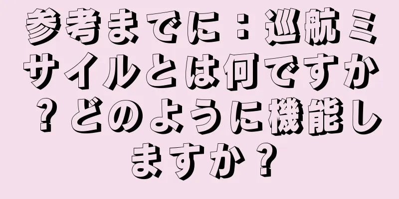 参考までに：巡航ミサイルとは何ですか？どのように機能しますか？