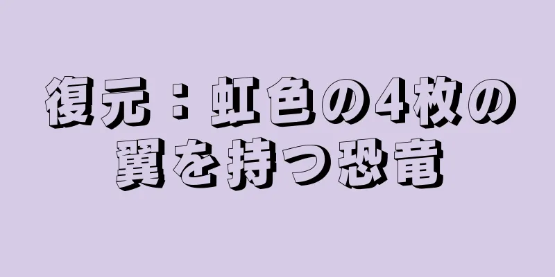 復元：虹色の4枚の翼を持つ恐竜