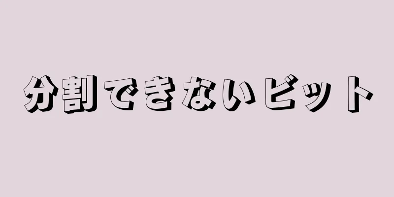 分割できないビット