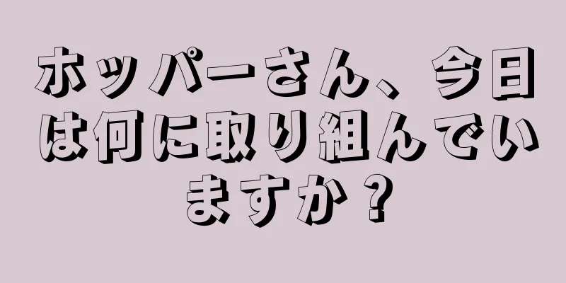 ホッパーさん、今日は何に取り組んでいますか？