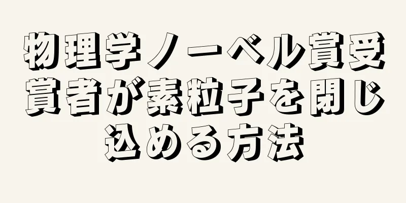 物理学ノーベル賞受賞者が素粒子を閉じ込める方法
