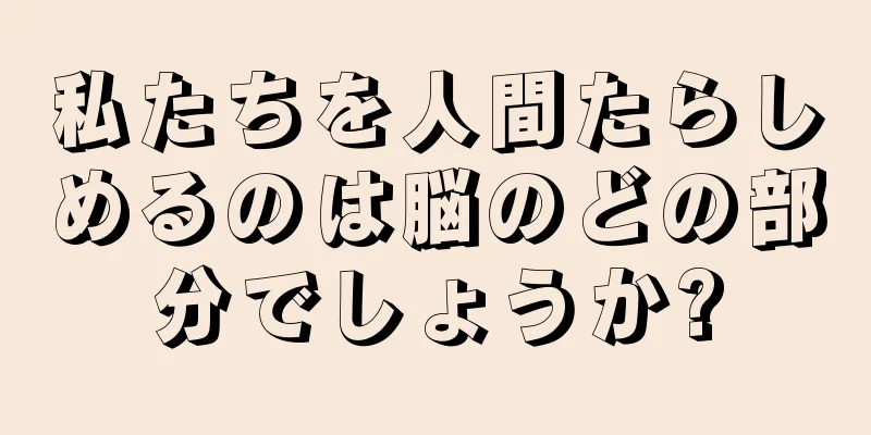 私たちを人間たらしめるのは脳のどの部分でしょうか?