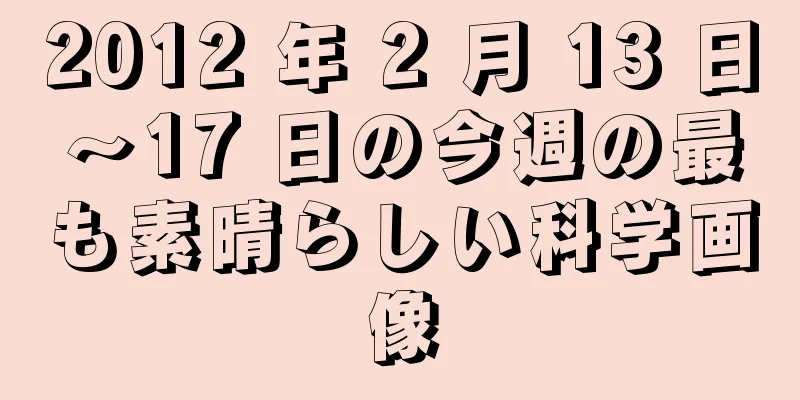 2012 年 2 月 13 日～17 日の今週の最も素晴らしい科学画像