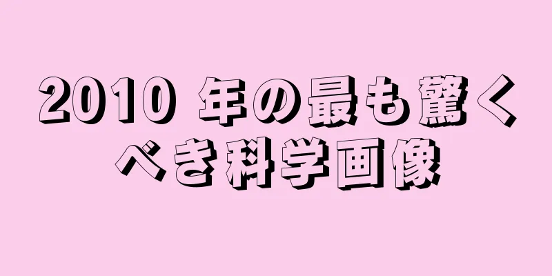 2010 年の最も驚くべき科学画像
