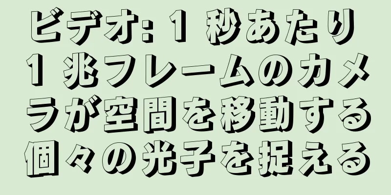 ビデオ: 1 秒あたり 1 兆フレームのカメラが空間を移動する個々の光子を捉える