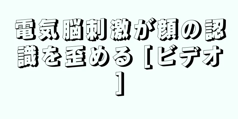 電気脳刺激が顔の認識を歪める [ビデオ]