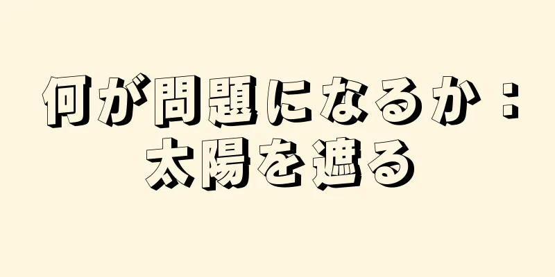 何が問題になるか：太陽を遮る
