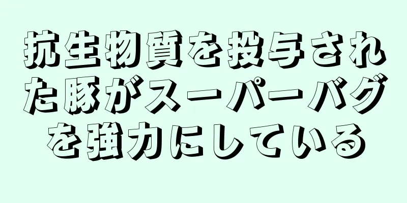 抗生物質を投与された豚がスーパーバグを強力にしている
