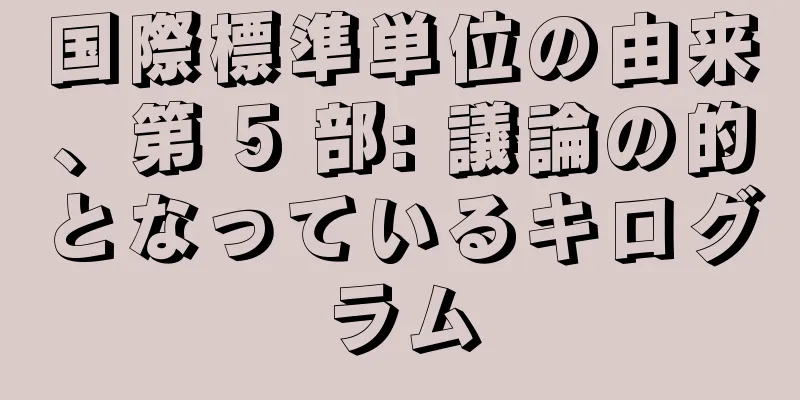 国際標準単位の由来、第 5 部: 議論の的となっているキログラム