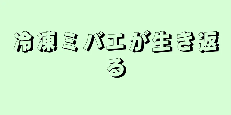 冷凍ミバエが生き返る