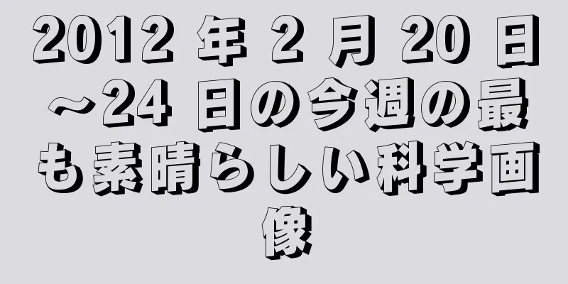 2012 年 2 月 20 日～24 日の今週の最も素晴らしい科学画像