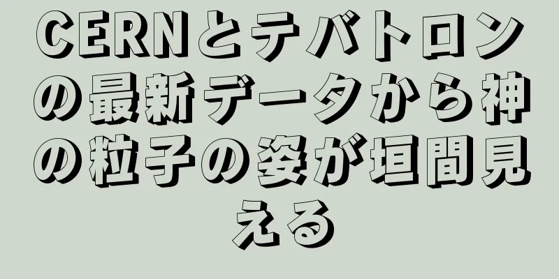 CERNとテバトロンの最新データから神の粒子の姿が垣間見える