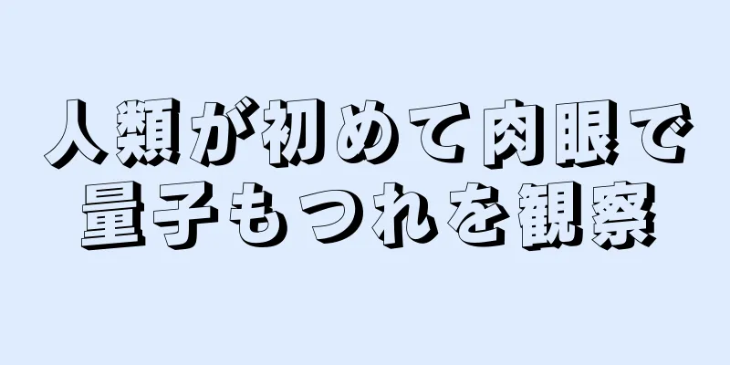 人類が初めて肉眼で量子もつれを観察