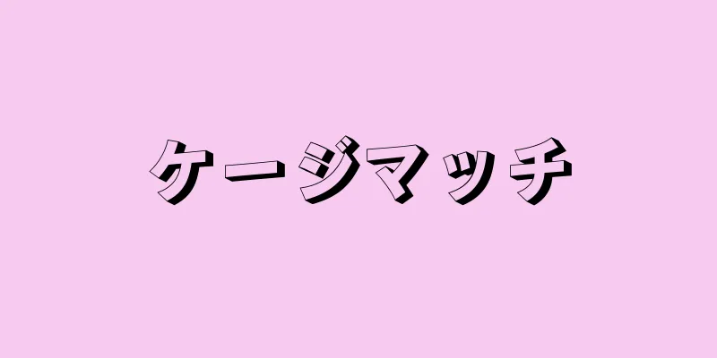 ケージマッチ