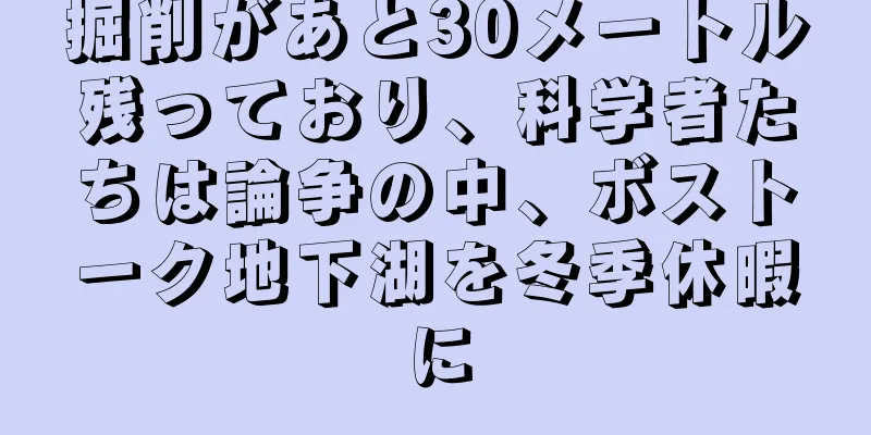 掘削があと30メートル残っており、科学者たちは論争の中、ボストーク地下湖を冬季休暇に