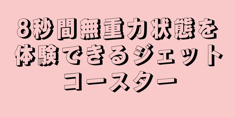 8秒間無重力状態を体験できるジェットコースター