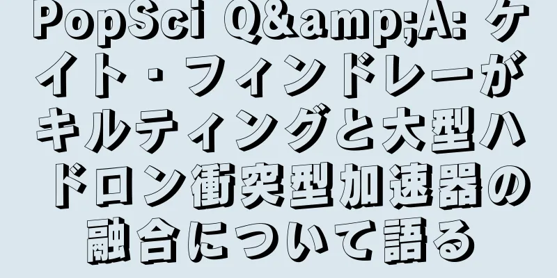 PopSci Q&A: ケイト・フィンドレーがキルティングと大型ハドロン衝突型加速器の融合について語る