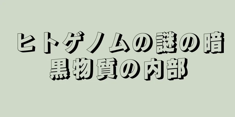 ヒトゲノムの謎の暗黒物質の内部