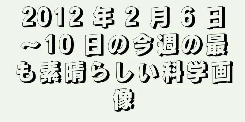 2012 年 2 月 6 日～10 日の今週の最も素晴らしい科学画像