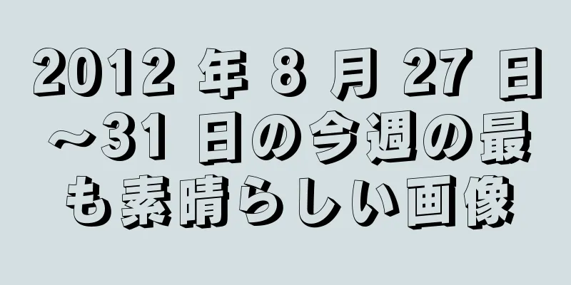 2012 年 8 月 27 日～31 日の今週の最も素晴らしい画像