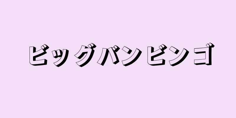 ビッグバンビンゴ