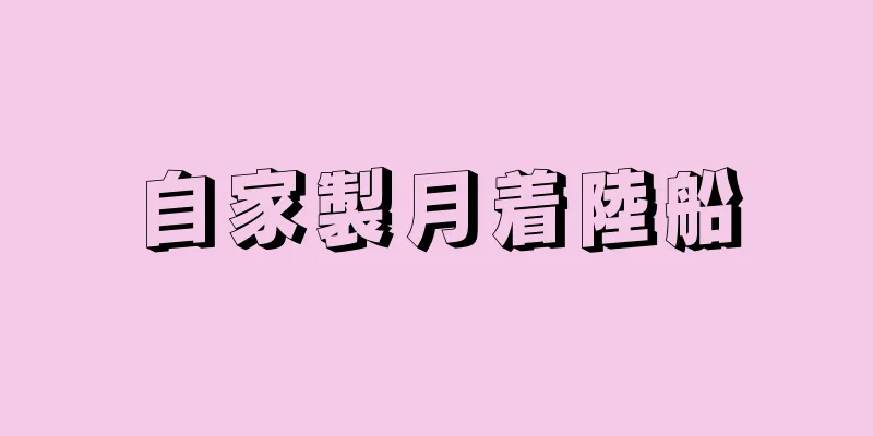 自家製月着陸船