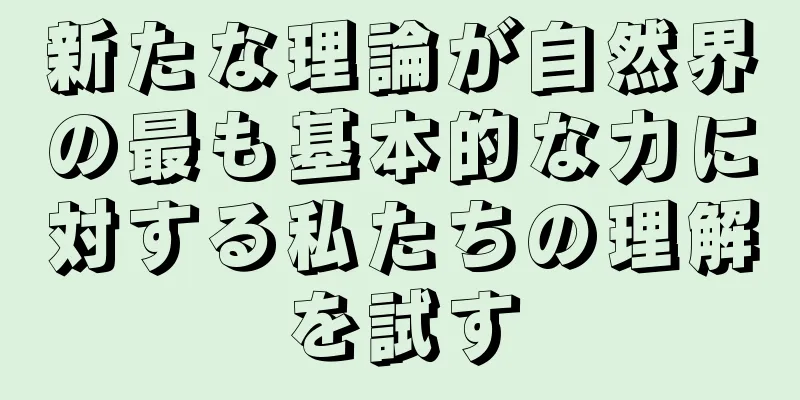 新たな理論が自然界の最も基本的な力に対する私たちの理解を試す