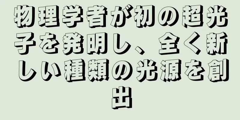 物理学者が初の超光子を発明し、全く新しい種類の光源を創出