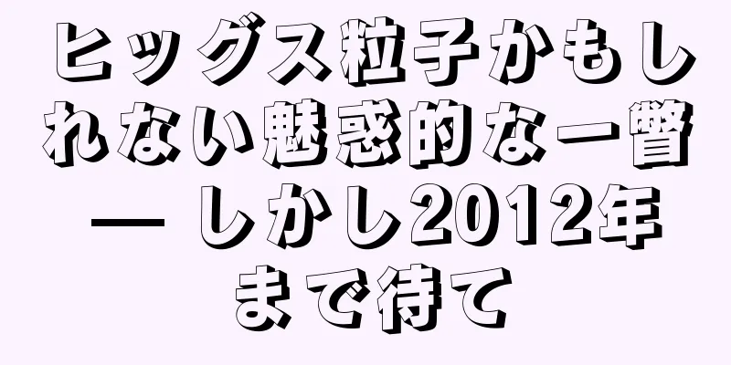 ヒッグス粒子かもしれない魅惑的な一瞥 — しかし2012年まで待て