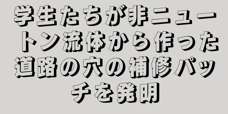 学生たちが非ニュートン流体から作った道路の穴の補修パッチを発明