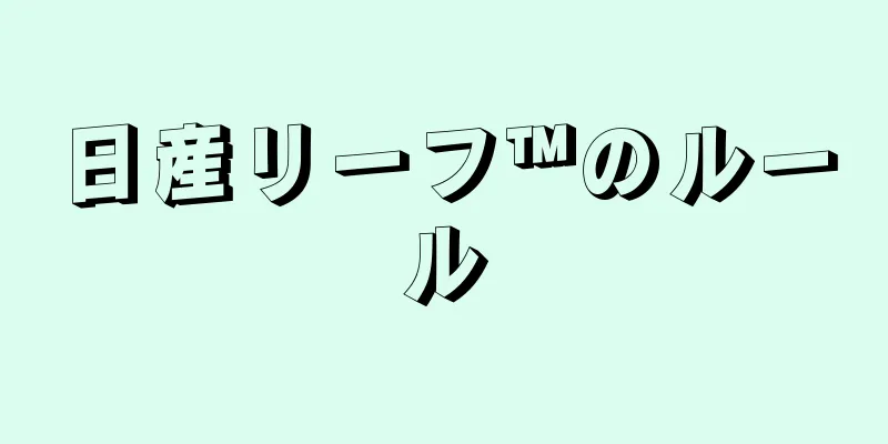 日産リーフ™のルール