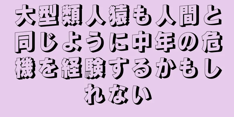大型類人猿も人間と同じように中年の危機を経験するかもしれない