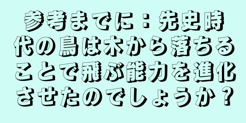 参考までに：先史時代の鳥は木から落ちることで飛ぶ能力を進化させたのでしょうか？