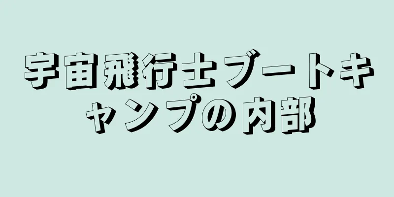 宇宙飛行士ブートキャンプの内部